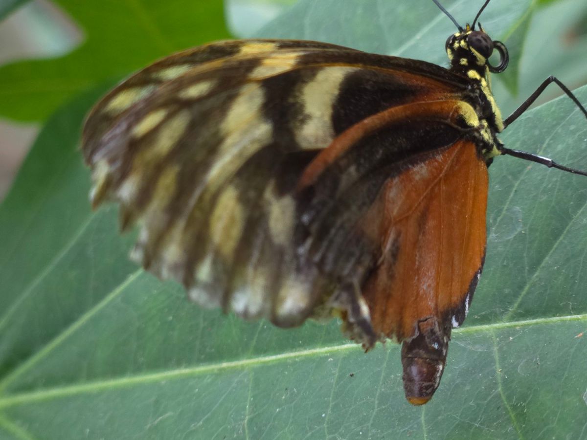 Quickie: Authentically me