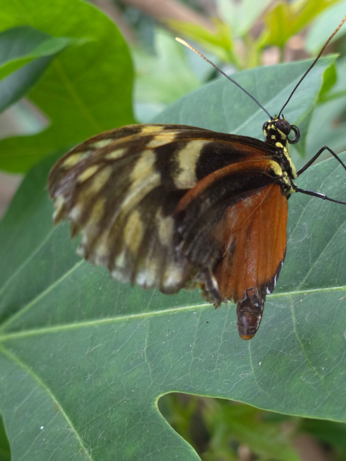 Quickie: Authentically me